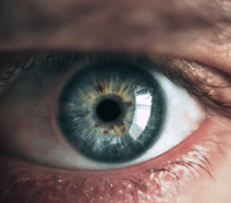 Slider image (6) Special Eye Hospital Svjetlost